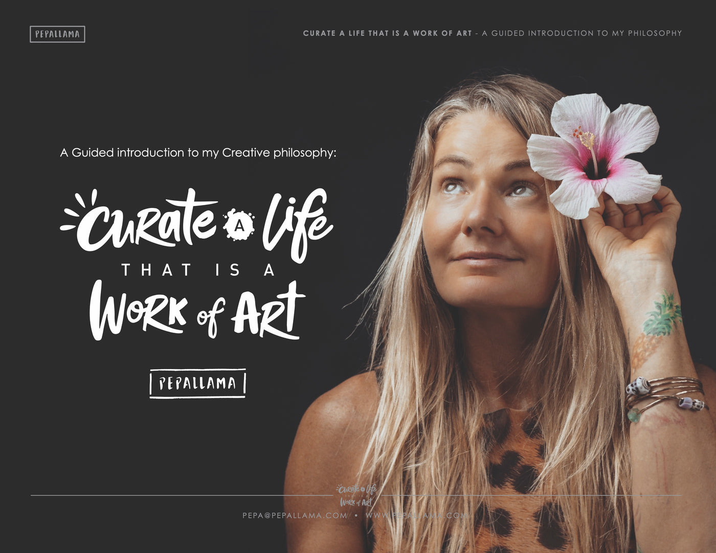 Curate a Life that is a Work of Art: A Guided Introduction to my Philosophy