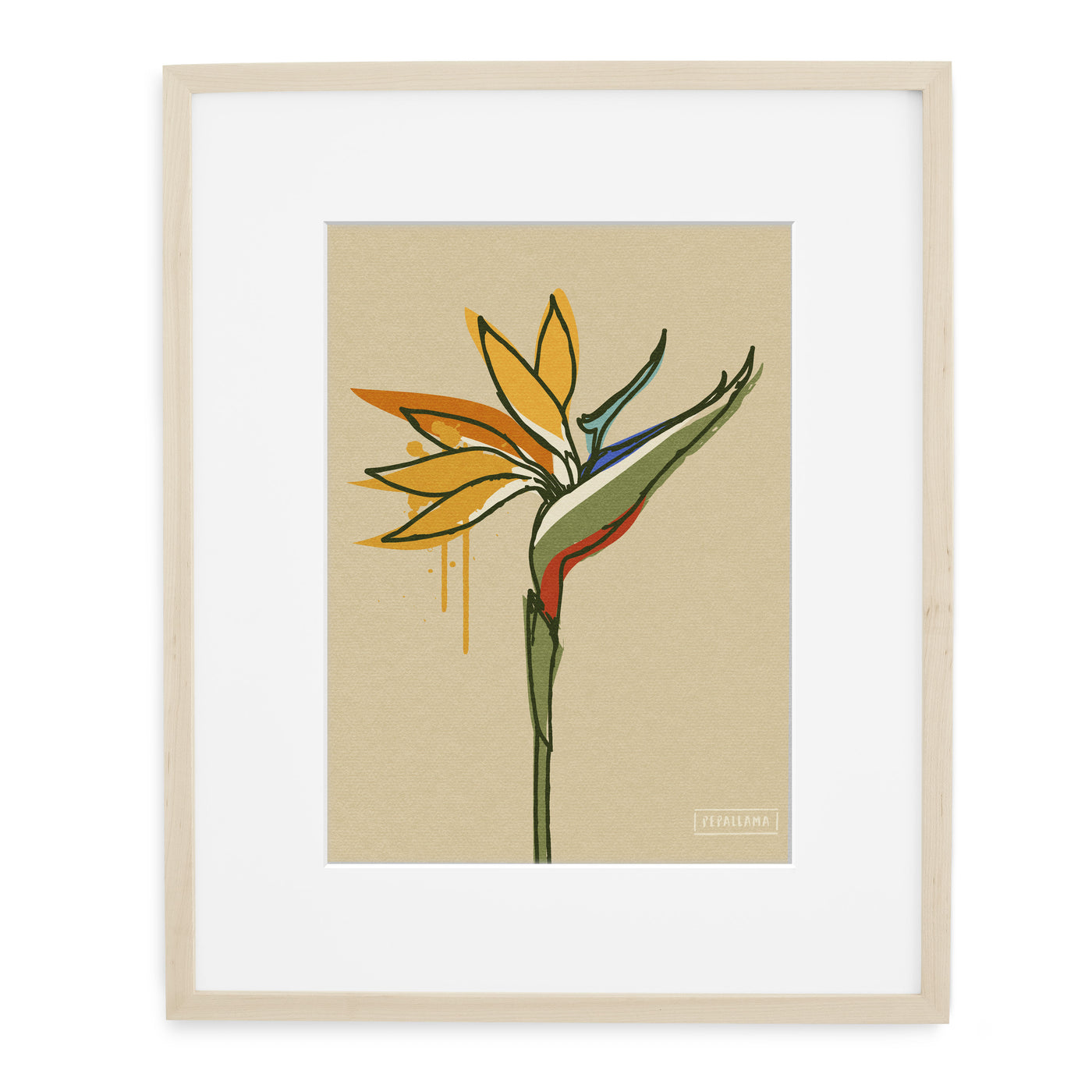 BIRD OF PARADISE DRIP 8x10 PRINT