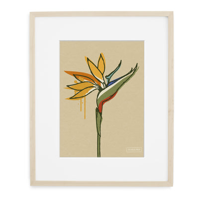 BIRD OF PARADISE DRIP 8x10 PRINT